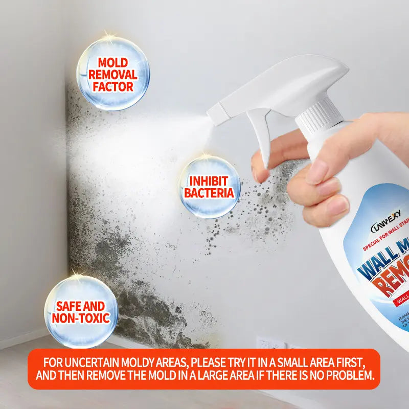 Mold Remover Spray