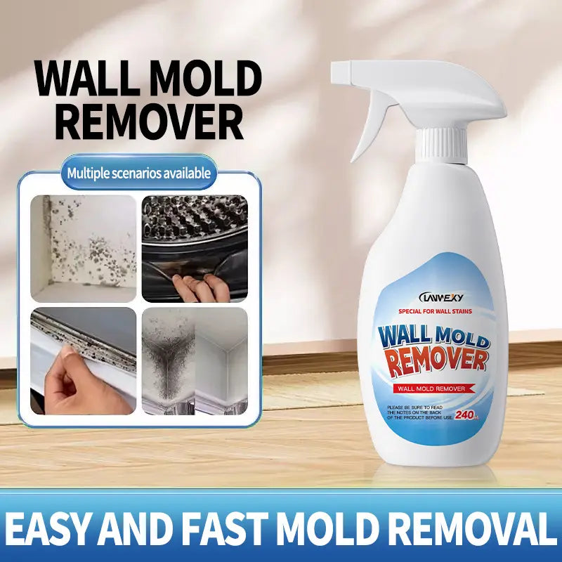 Mold Remover Spray