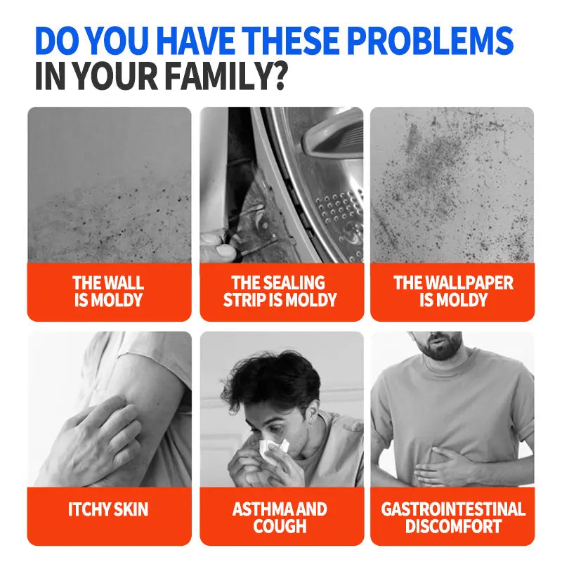 Mold Remover Spray