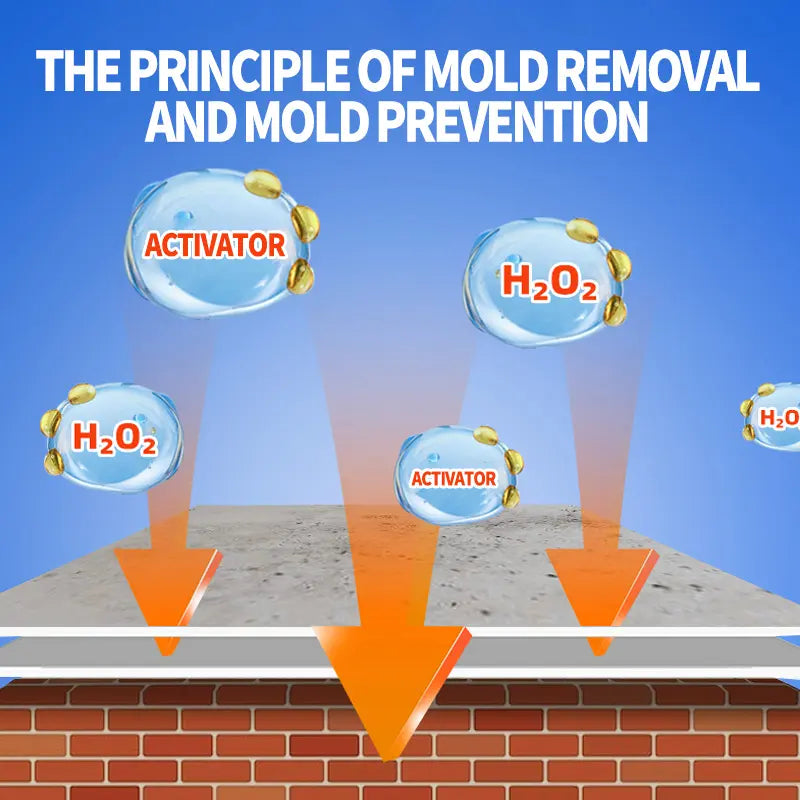 Mold Remover Spray